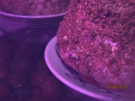 IMG_7954.JPG
