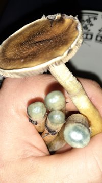 20200614_181531.jpg