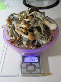 6.JPG