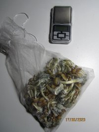 7.JPG