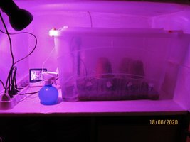IMG_7998.JPG
