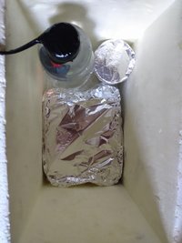 IMG_20200620_143733713.jpg