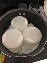 IMG_4255.jpg