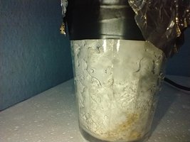 IMG_20200621_103908274.jpg