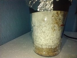 IMG_20200621_104050271.jpg