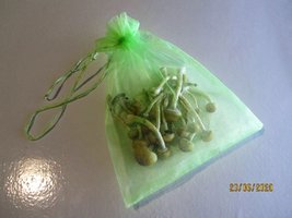 IMG_8018.JPG