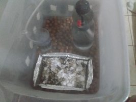 IMG_20200623_204304402.jpg