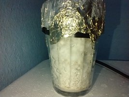 IMG_20200624_115110503.jpg