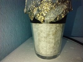 IMG_20200624_115137588.jpg