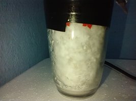 IMG_20200624_115336692.jpg