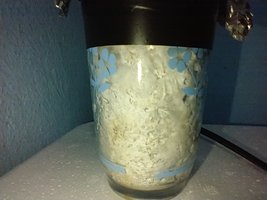 IMG_20200624_115413094.jpg