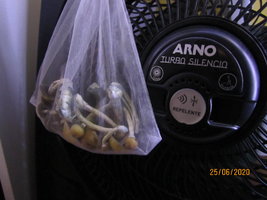 IMG_8023.JPG