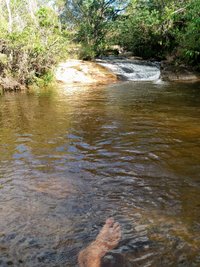 IMG_20200215_160811849.jpg