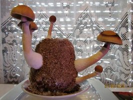 IMG_8025.JPG