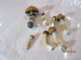 IMG_8031.JPG