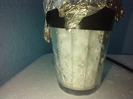 IMG_20200627_104824256.jpg