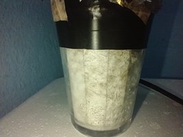 IMG_20200627_104912901.jpg