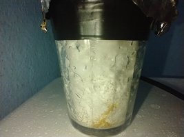 IMG_20200627_105004196.jpg