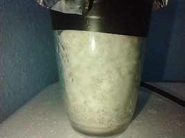 IMG_20200627_105053570.jpg
