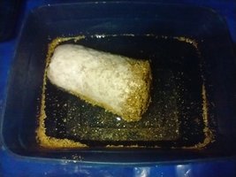 IMG_20200627_152500776.jpg