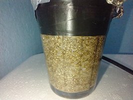 IMG_20200627_105321220.jpg