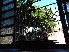 IMG_20200628_135020323.jpg