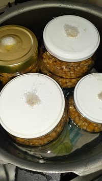 20200630_132109.jpg