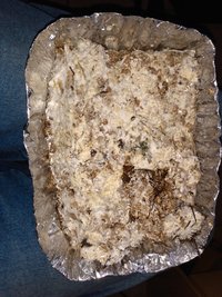 IMG_20200701_164925362.jpg