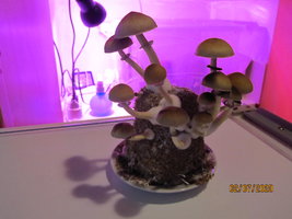 IMG_8044.JPG