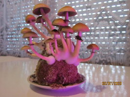 IMG_8045.JPG