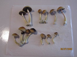 IMG_8046.JPG