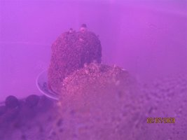 IMG_8047.JPG