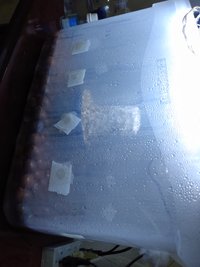 IMG_20200703_202034530.jpg