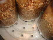 343635124-thumb_DSC01048.jpg
