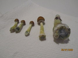 IMG_8052.JPG