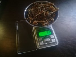 9e533e95-0fa3-4fae-a9b1-b0e1bf376cc0.jpg