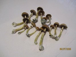 IMG_8068.JPG