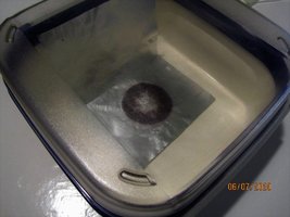 IMG_8069.JPG