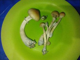 IMG_20200706_194245599.jpg