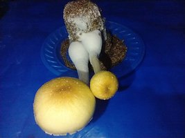 IMG_20200706_194621172.jpg