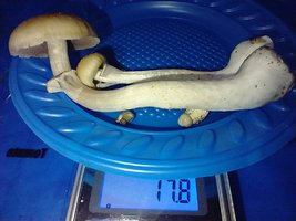 IMG_20200706_195708652.jpg