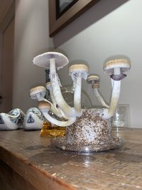 673C099A-DF3D-4AA1-8381-EE5F792949CB.jpeg