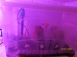 IMG_8078.JPG