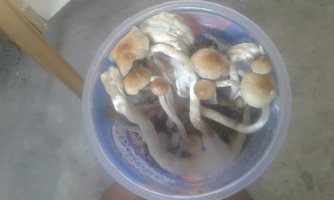 20200714_130506.jpg