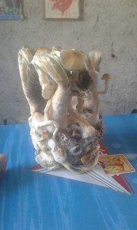 20200714_130725.jpg