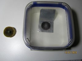 IMG_8083.JPG