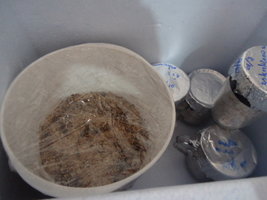DSC03455.JPG