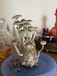 D86510D8-BD2A-44AF-B530-F0BCDCD286EC.jpeg