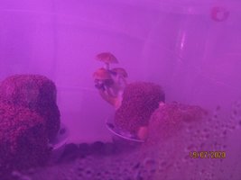 IMG_8086.JPG