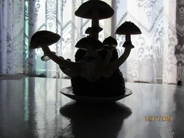 IMG_8087.JPG